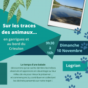 Affiche ok logrian sur les traces des animaux