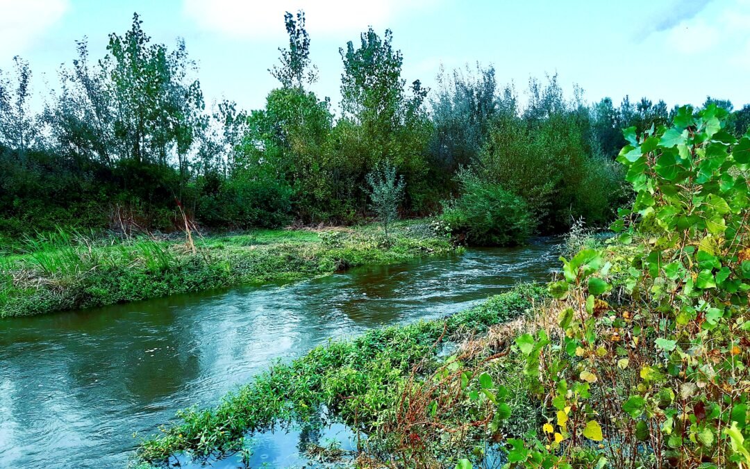 2020-10 Sortie nature au bord du Vistre
