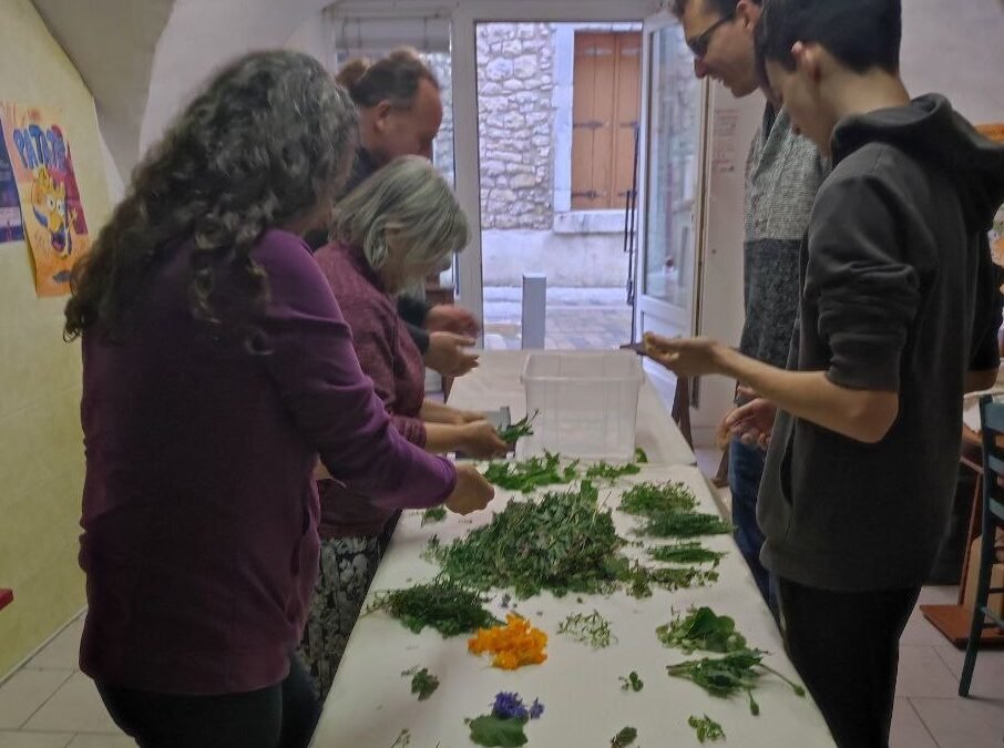 2022-04 Atelier cuisine sauvage et balade