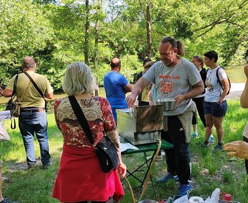 2022-05 Fleurs comestibles, balade, recettes et dégustation