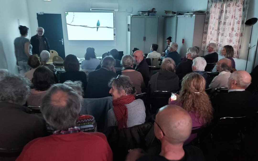 2025-04 Conférence sur les Hirondelles