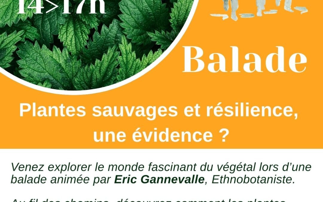 Balade-Plantes sauvages et résilience, une évidence ?